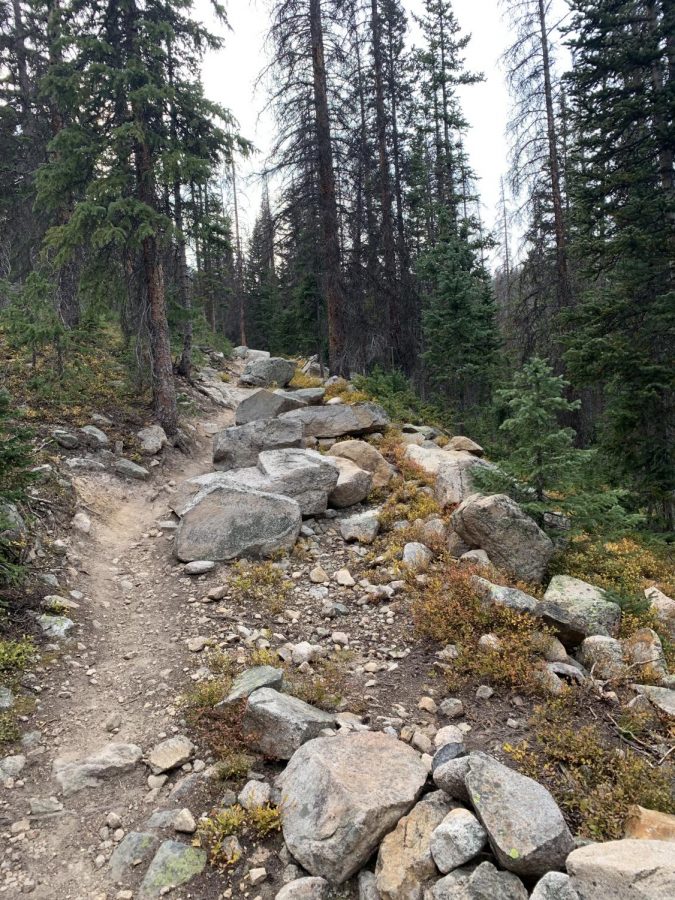 Pictured is a view of the trail going uphill. This is a section of the trail in-between Hunt and Boss lake. It is one of the more rocky sections on the trail.