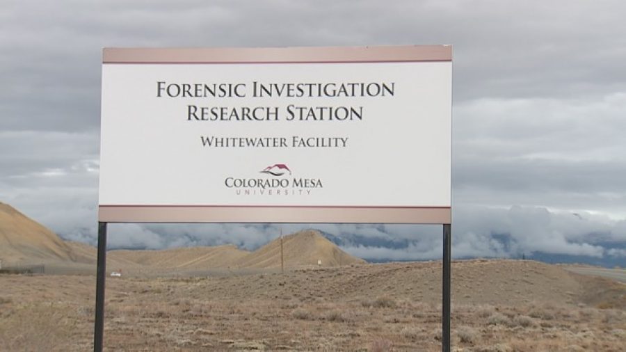 Pictured above is the entrance to the CMU forensic investigation research station, also known as a body farm.