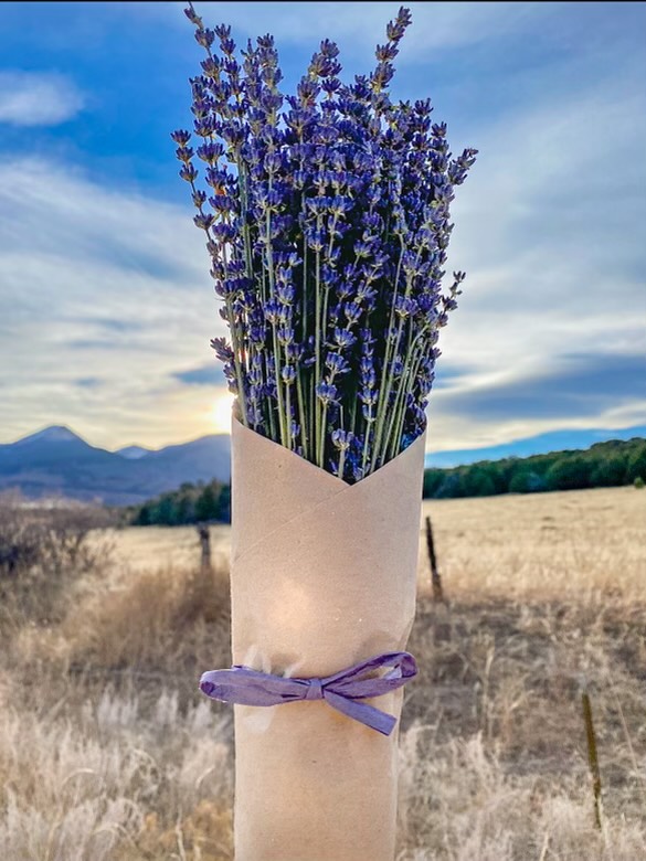 With Spring Brings Local Lavender