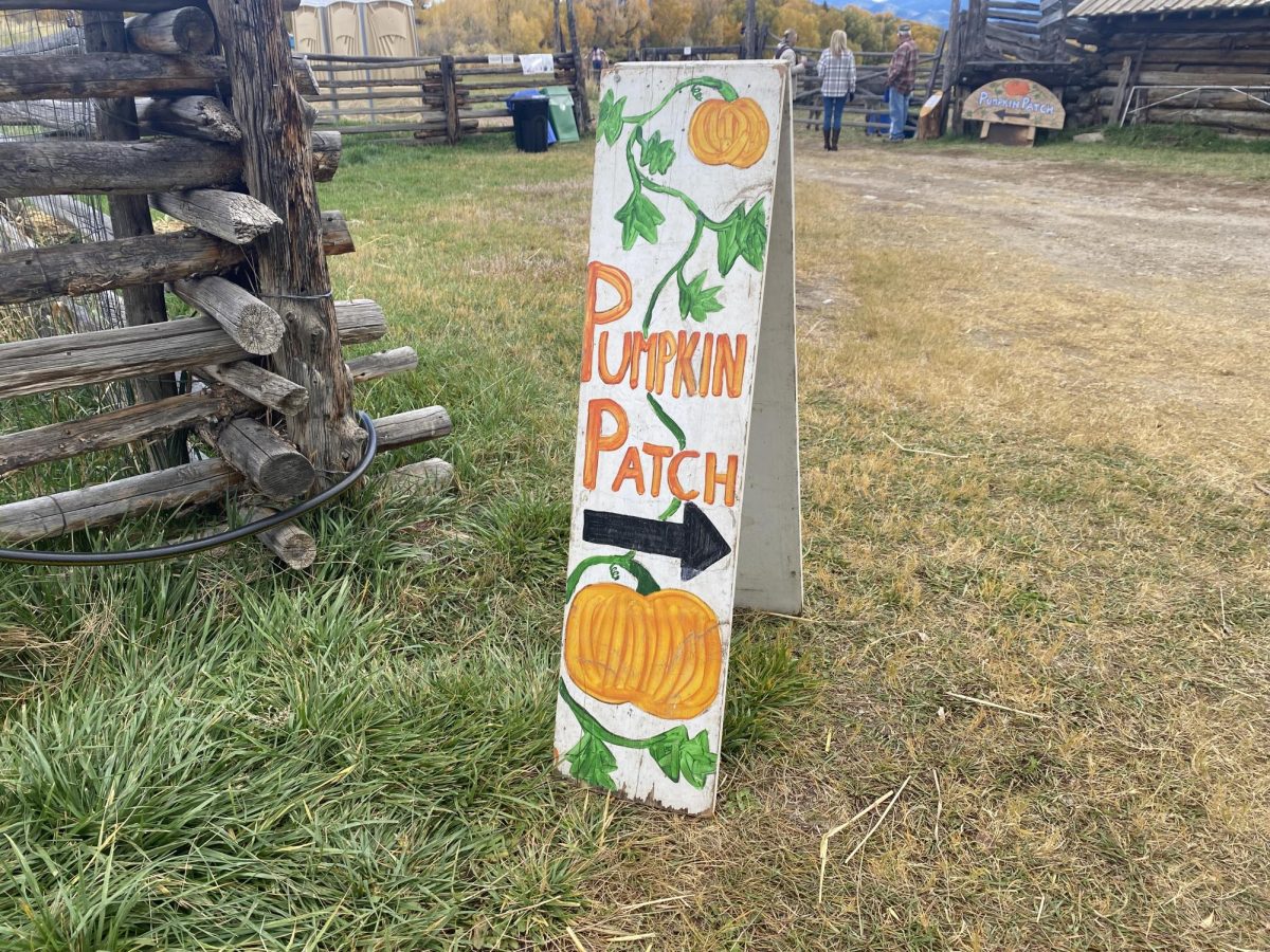 Fall Fun at Pumpkin Patch