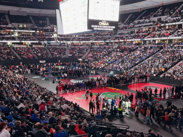 SHS Wrestlers at State